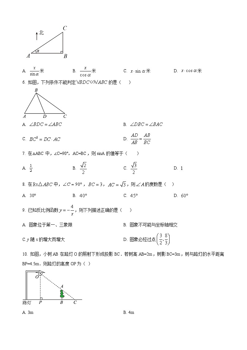 2024年广西壮族自治区钦州市浦北县中考一模数学模拟试题（原卷版+解析版）02