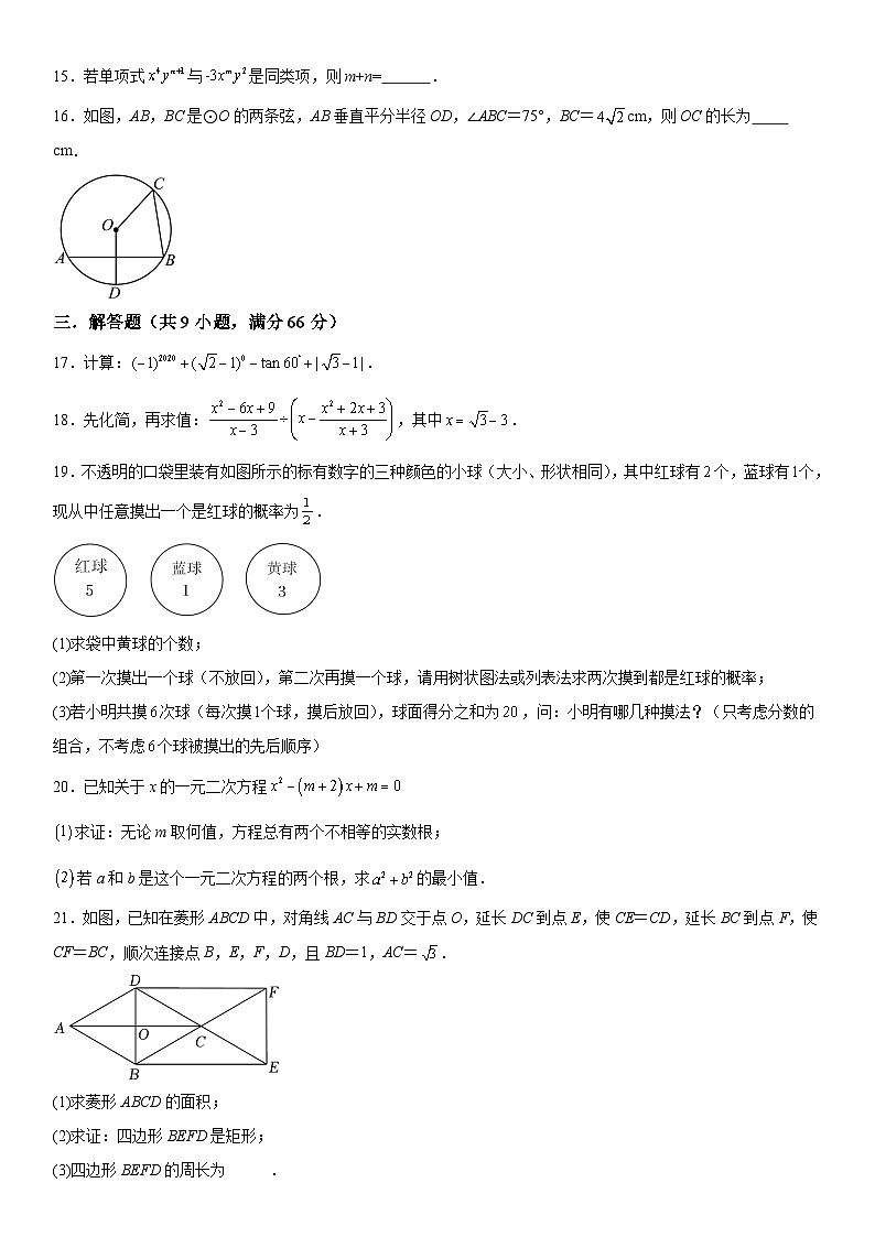 2024年广东省湛江市霞山区乐群学校中考一模数学试题（含解析）03