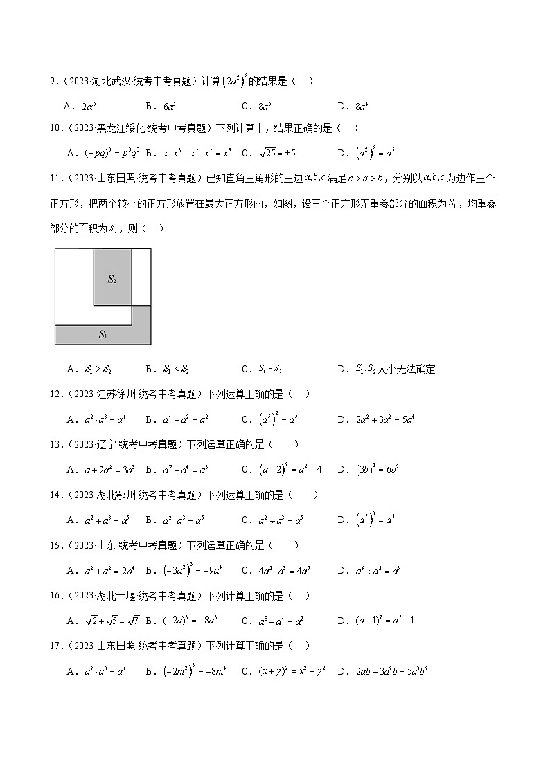 专题02 整式及其运算（共37题）（原卷版）第2页