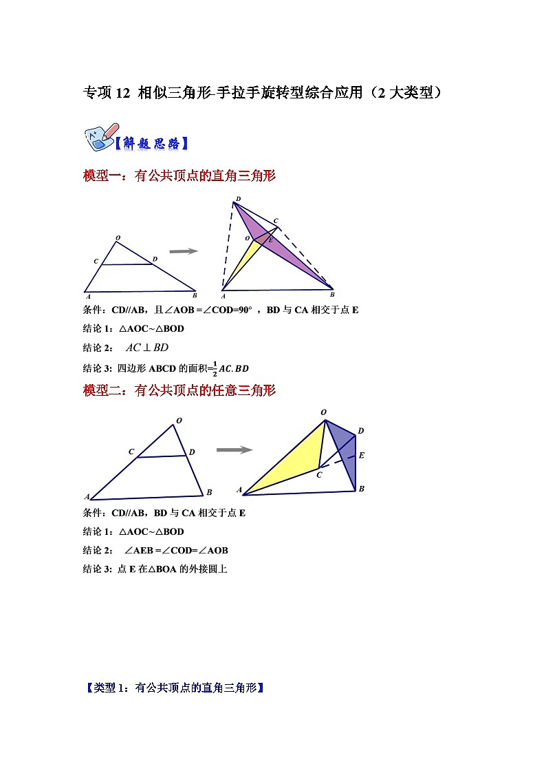 北师大版九年级数学全册高分突破必练专题专项12相似三角形-手拉手旋转型综合应用(2大类型)(原卷版+解析)第1页
