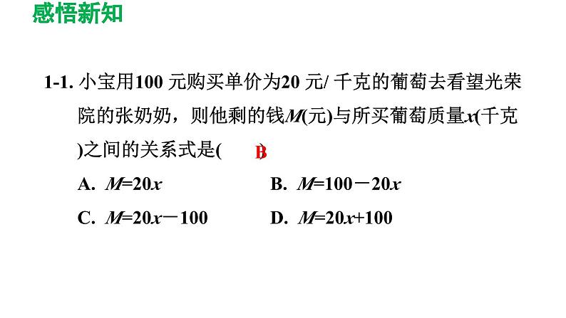 3.2 用关系式表示的变量间关系 北师大版数学七年级下册导学课件第8页