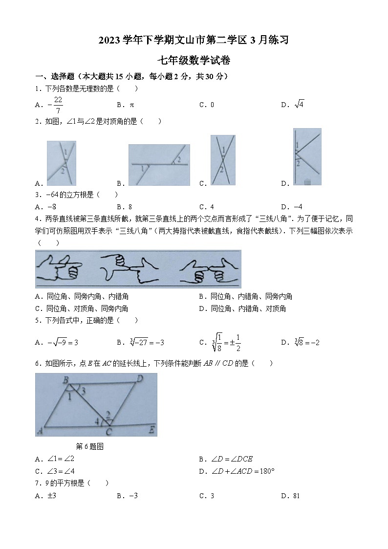 云南省文山州文山市第二学区2023-2024学年七年级下学期3月练习数学试题01