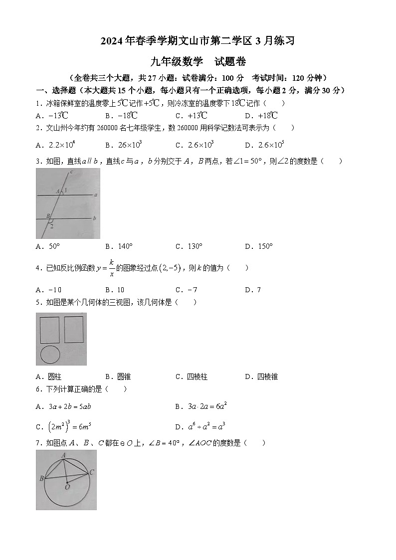 云南省文山壮族苗族自治州文山市2023-2024学年九年级下学期3月月考数学试题第1页