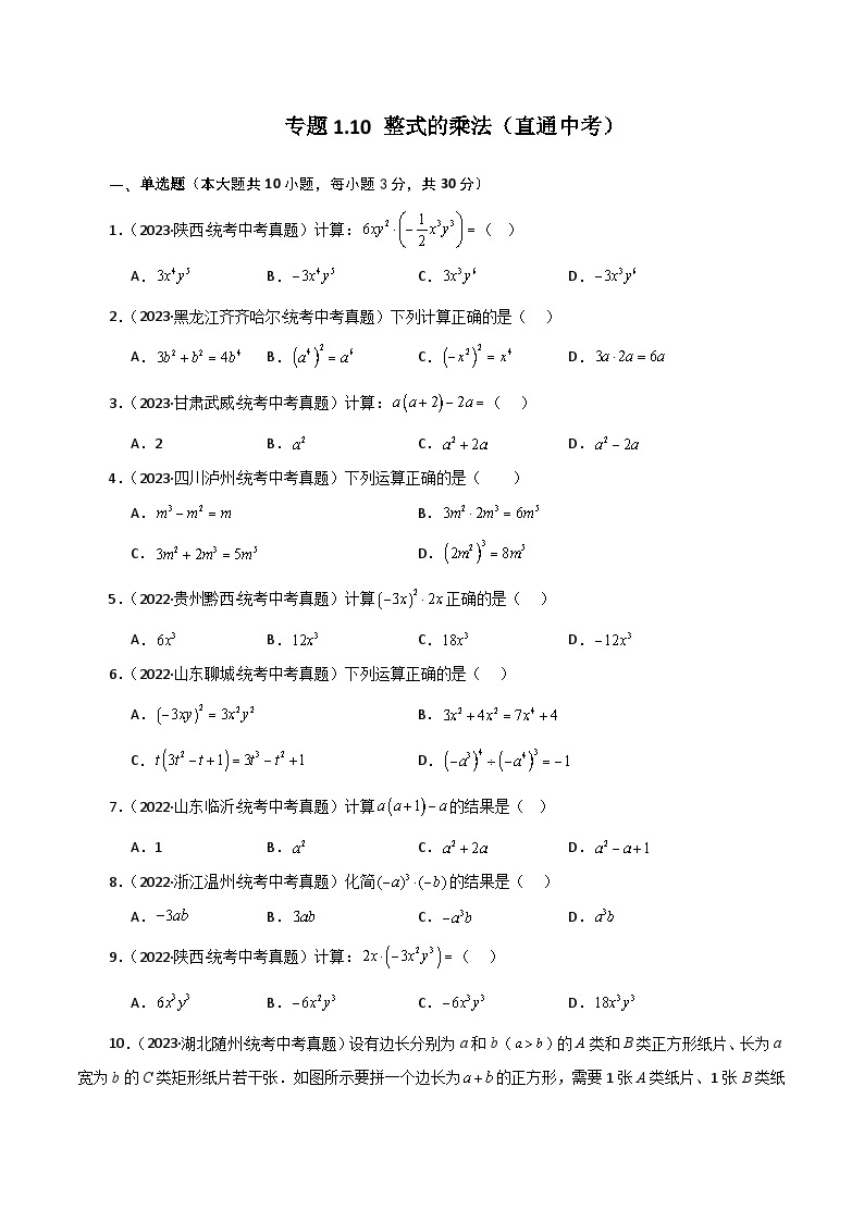 专题1.10 整式的乘法（直通中考）-七年级数学下册基础知识专项突破讲与练（北师大版）01