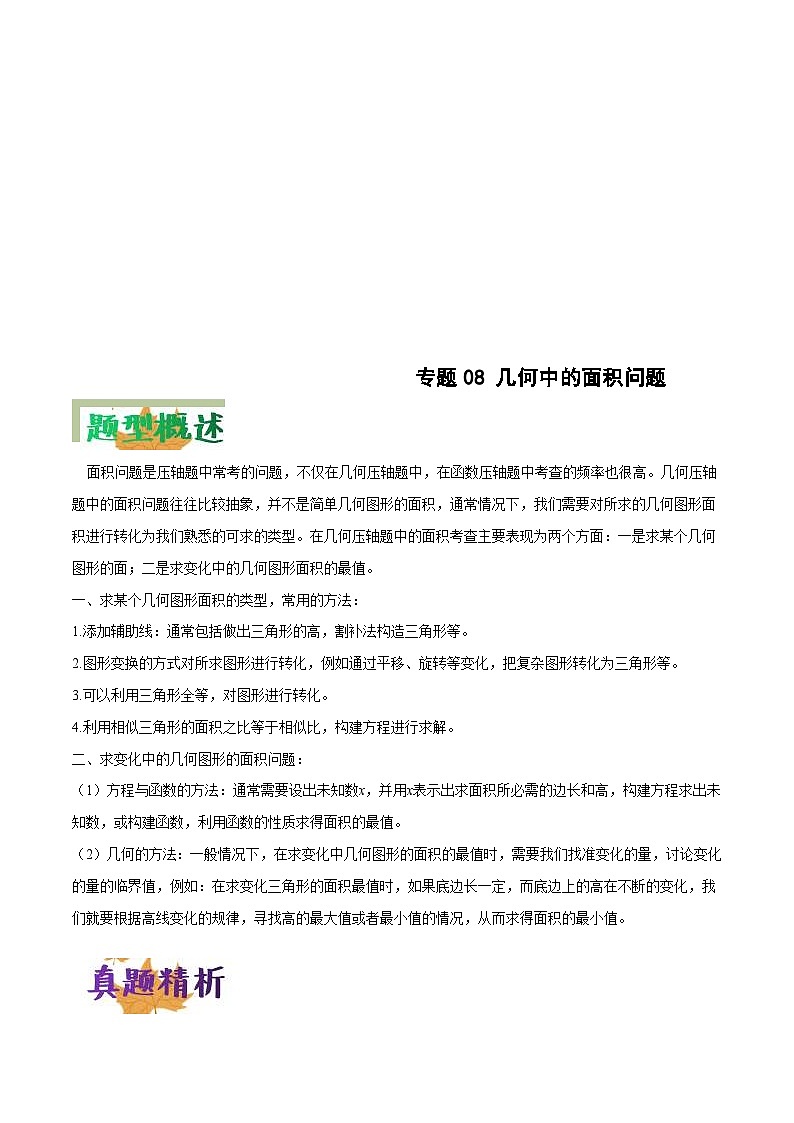 中考数学二轮复习压轴题培优专练专题08 几何中的面积问题（解析版） 第1页