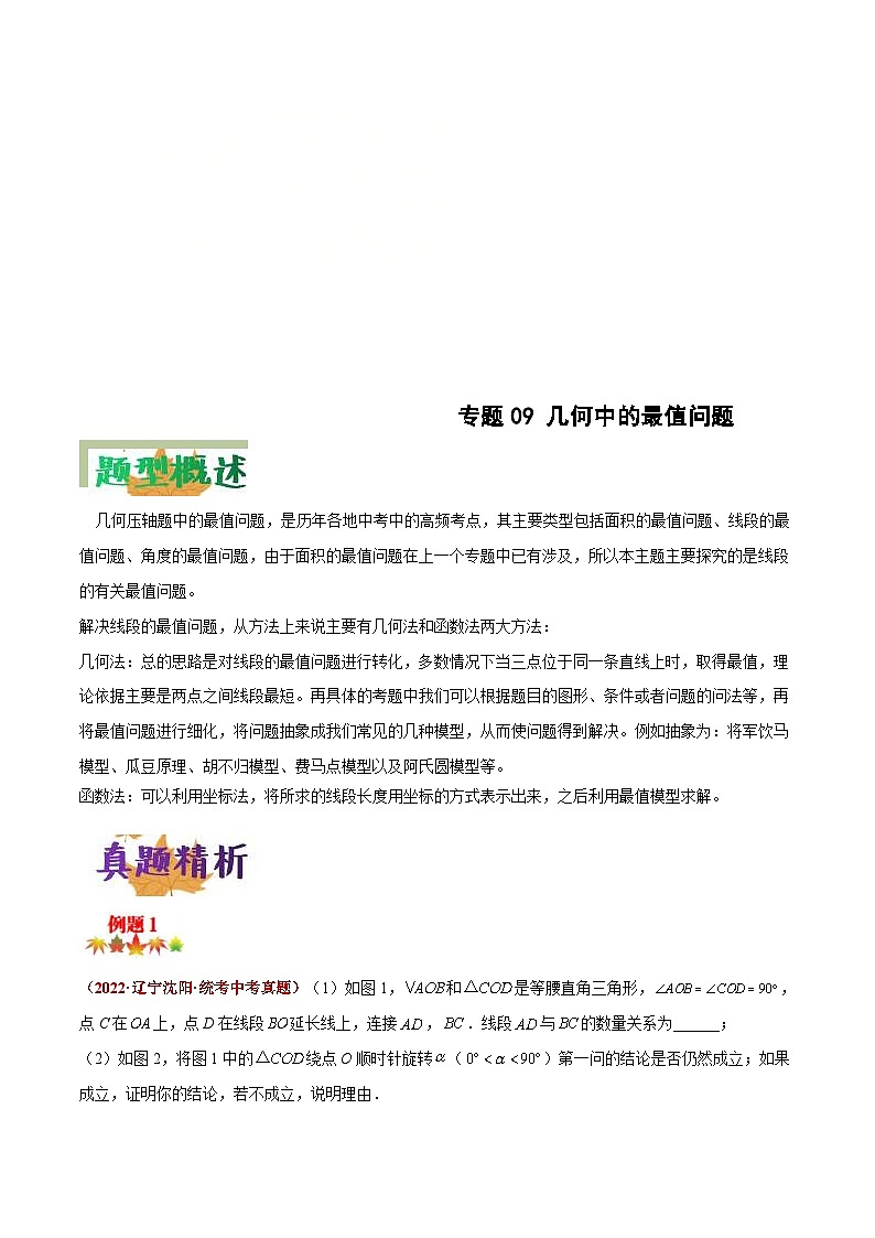 中考数学二轮复习压轴题培优专练专题09 几何中的最值问题问题（解析版） 第1页