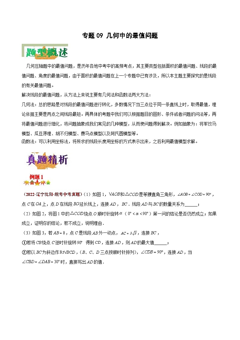 中考数学二轮复习压轴题培优专练专题09 几何中的最值问题问题（原卷版） 第1页