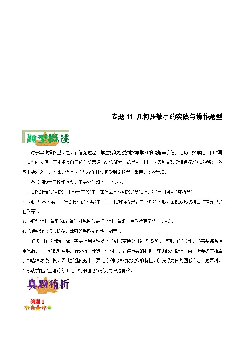 中考数学二轮复习压轴题培优专练专题11 几何压轴中的实践与操作题型（2份打包，原卷版+解析版）01