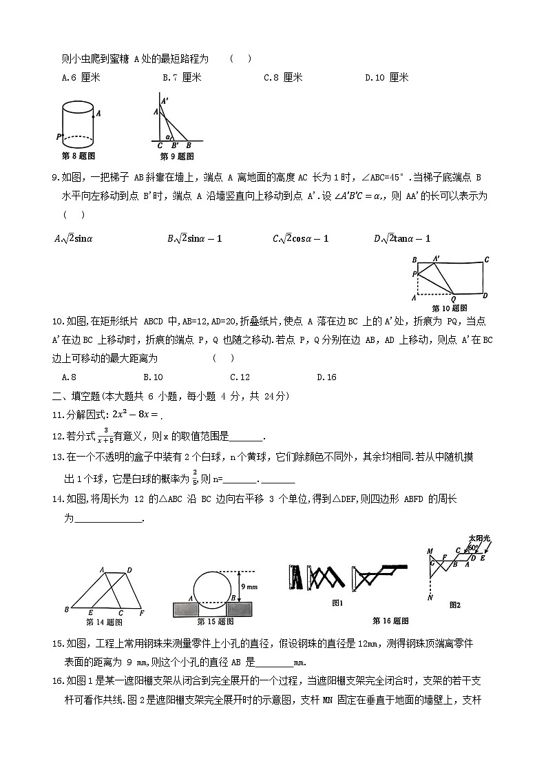 2024年浙江省绍兴市新昌县部分学校九年级中考一模数学试题+02