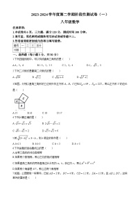 河南省漯河市召陵区召陵区青年镇初级中学2023-2024学年八年级下学期3月月考数学试题