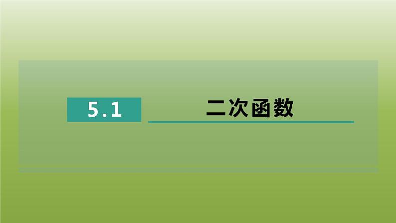 2024九年级数学下册第5章二次函数5.2二次函数的图像和性质1二次函数习题课件新版苏科版01