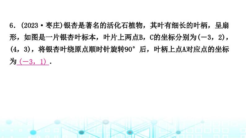 中考数学复习第七章图形变化第三节图形的平移、对称与旋转课件07