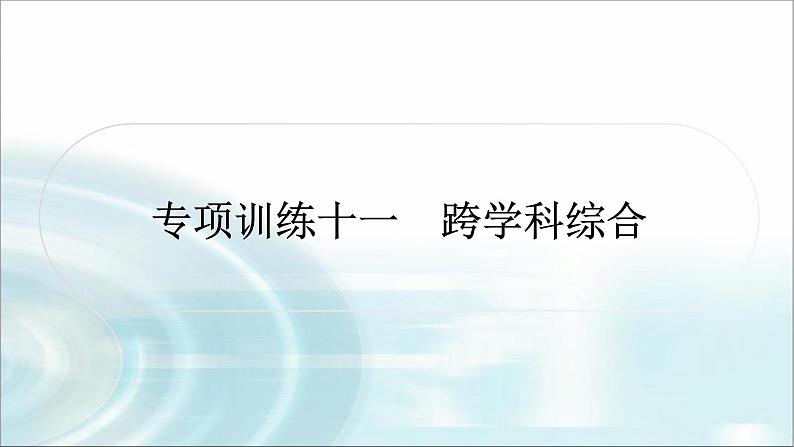 中考数学复习专项训练十一跨学科综合课件第1页