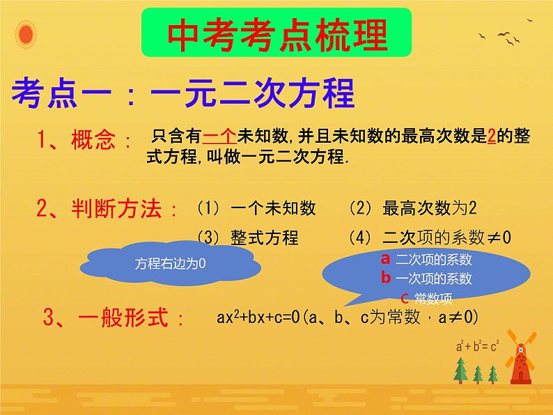 中考复习21.1 一元二次方程 课件第4页