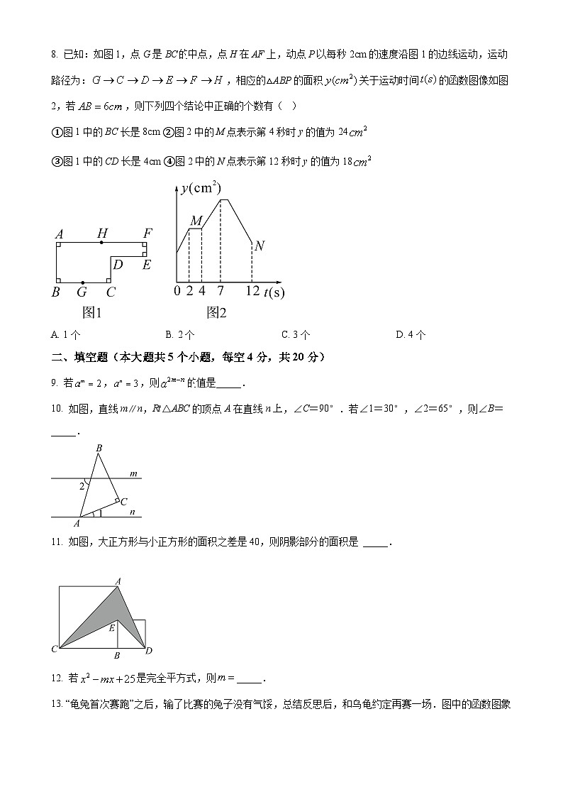 四川省雅安市雅安中学2023-2024学年七年级下学期4月月考数学试题（原卷版）第3页