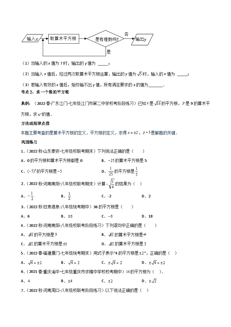 第06讲  专题6.1 平方根-【同步精品】最新七年级数学下册同步精品讲义（人教版）03