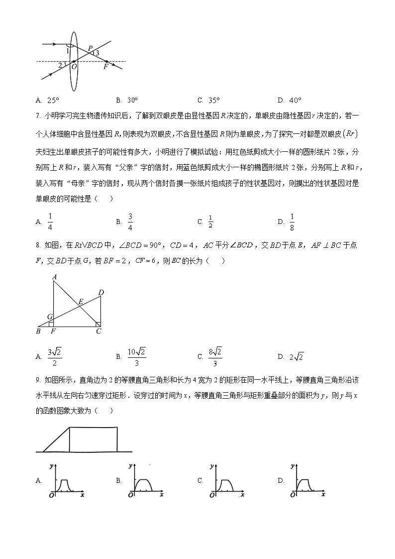 2024年安徽省合肥市新站区中考一模数学试题（原卷版）第2页
