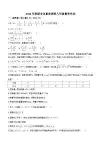 河南省南阳市第十九中学校2023-2024学年八年级下学期第一次月考数学试题(无答案)