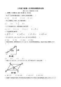 广东省惠州市惠阳区惠阳中山中学2023-2024学年八年级下学期第一次月考数学试题(无答案)