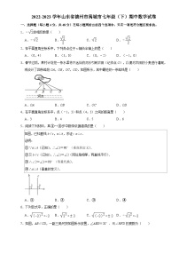 山东省禹城市2022-2023学年下学期期中考试七年级数学试题