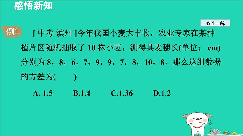 2024七年级数学下册第6章数据的分析6.2方差课件新版湘教版06