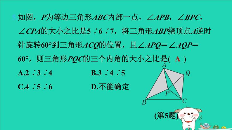 2024七年级数学下册提练第13招三种图形变换的应用习题课件新版湘教版08