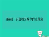 2024七年级数学下册提练第8招识别相交线中的几种角习题课件新版湘教版