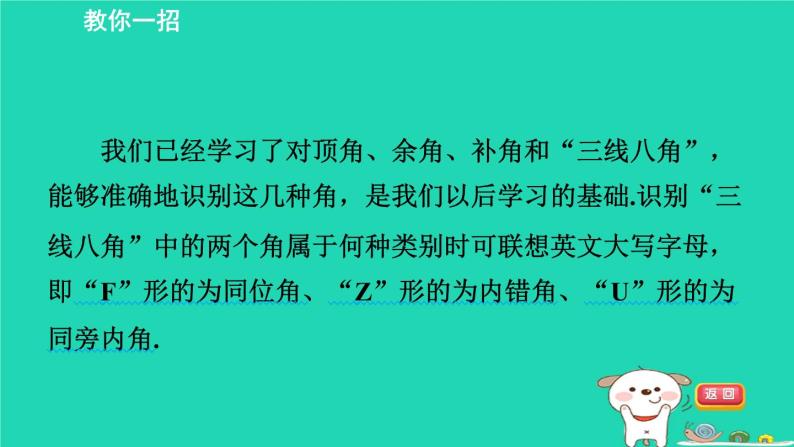 2024七年级数学下册提练第8招识别相交线中的几种角习题课件新版湘教版02