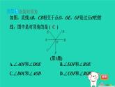 2024七年级数学下册提练第8招识别相交线中的几种角习题课件新版湘教版