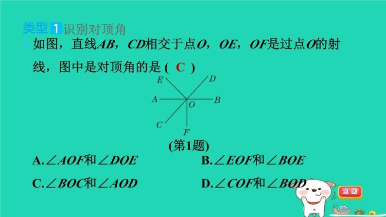 2024七年级数学下册提练第8招识别相交线中的几种角习题课件新版湘教版05