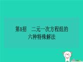 2024七年级数学下册提练第1招二元一次方程组的六种特殊解法习题课件新版湘教版