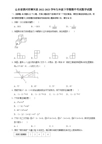 山东省滨州市博兴县2022-2023学年九年级下学期期中考试数学试题