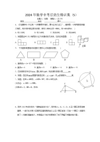 2024年数学中考特训集5