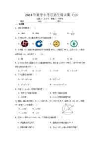 2024年数学中考特训集10