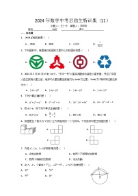 2024年数学中考特训集11