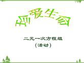 第8章 二元一次方程组-活动课 初中数学人教版七年级下册课件