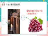 青岛版初中数学七上 课件 1.1  我们身边的图形世界