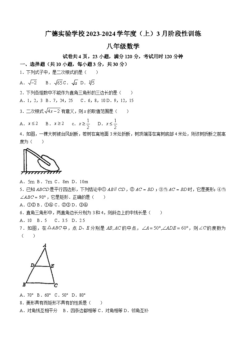 广东省江门市广德实验学校2023-2024学年八年级下学期月考数学试题(无答案)第1页