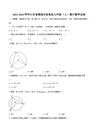 2023-2024学年江苏省南通市如东县九年级（上）期中数学试卷（含解析）