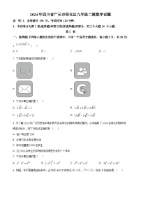 2024年四川省广元市昭化区中考二模数学模拟试题（原卷版+解析版）