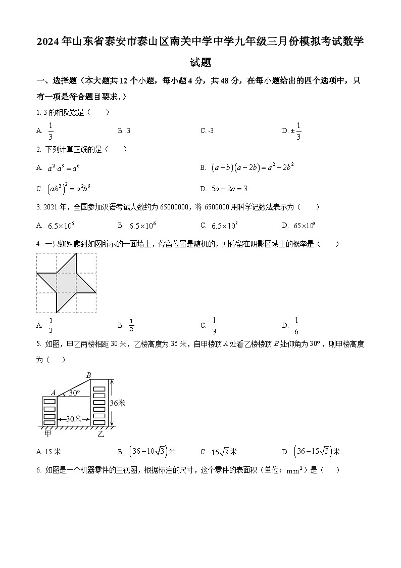山东省泰安市泰山区泰安南关中学2024年九年级下学期3月月考数学试题（原卷版）第1页
