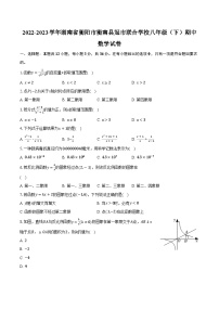 2022-2023学年湖南省衡阳市衡南县冠市联合学校八年级（下）期中数学试卷（含解析）