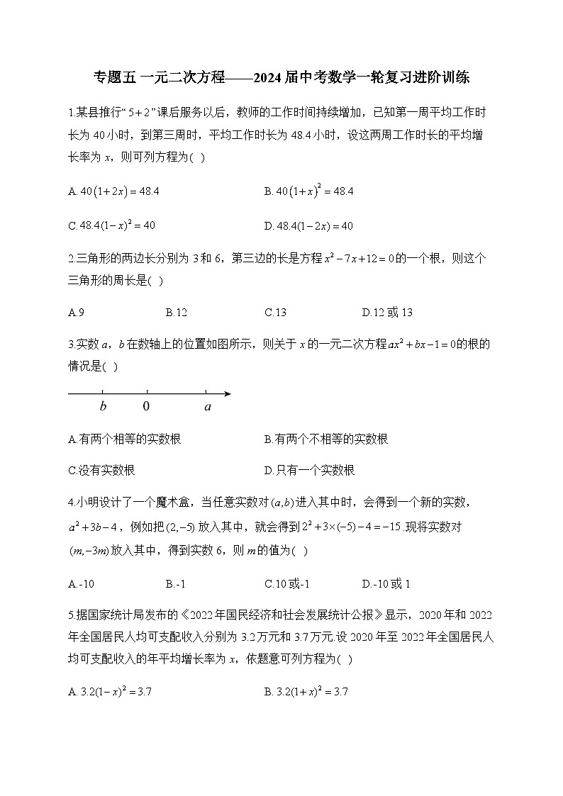 专题五 一元二次方程——2024届中考数学一轮复习进阶训练第1页