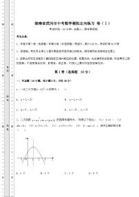 中考强化训练湖南省武冈市中考数学模拟定向练习 卷（Ⅰ）（含答案详解）