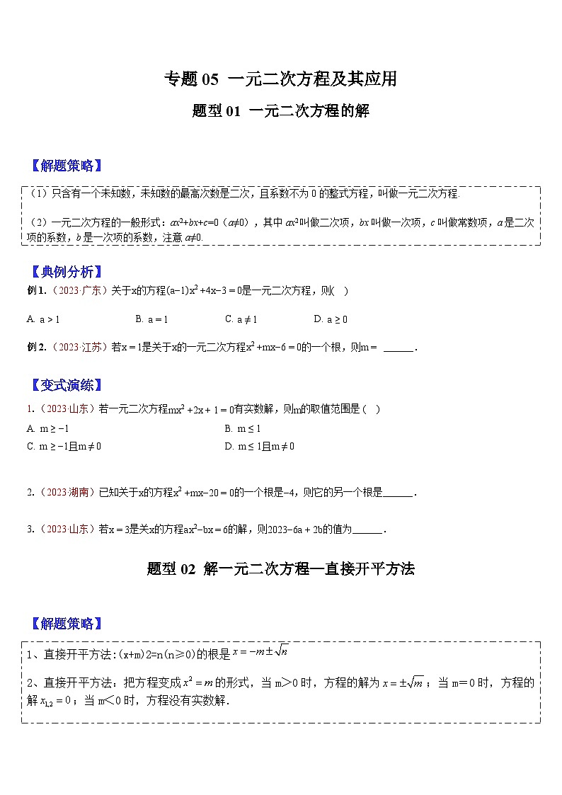专题05 一元二次方程及其应用 （原卷版）第1页