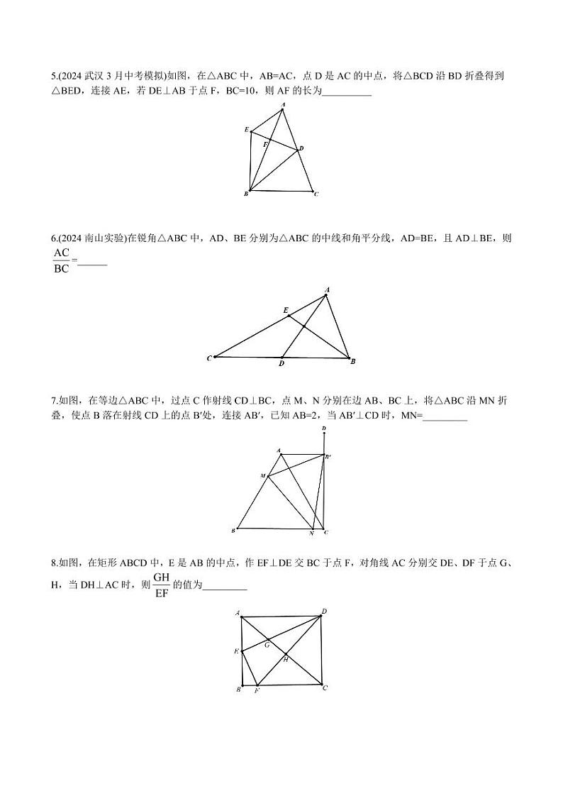 中考冲刺之填空选择压轴精选 - 学生版第2页
