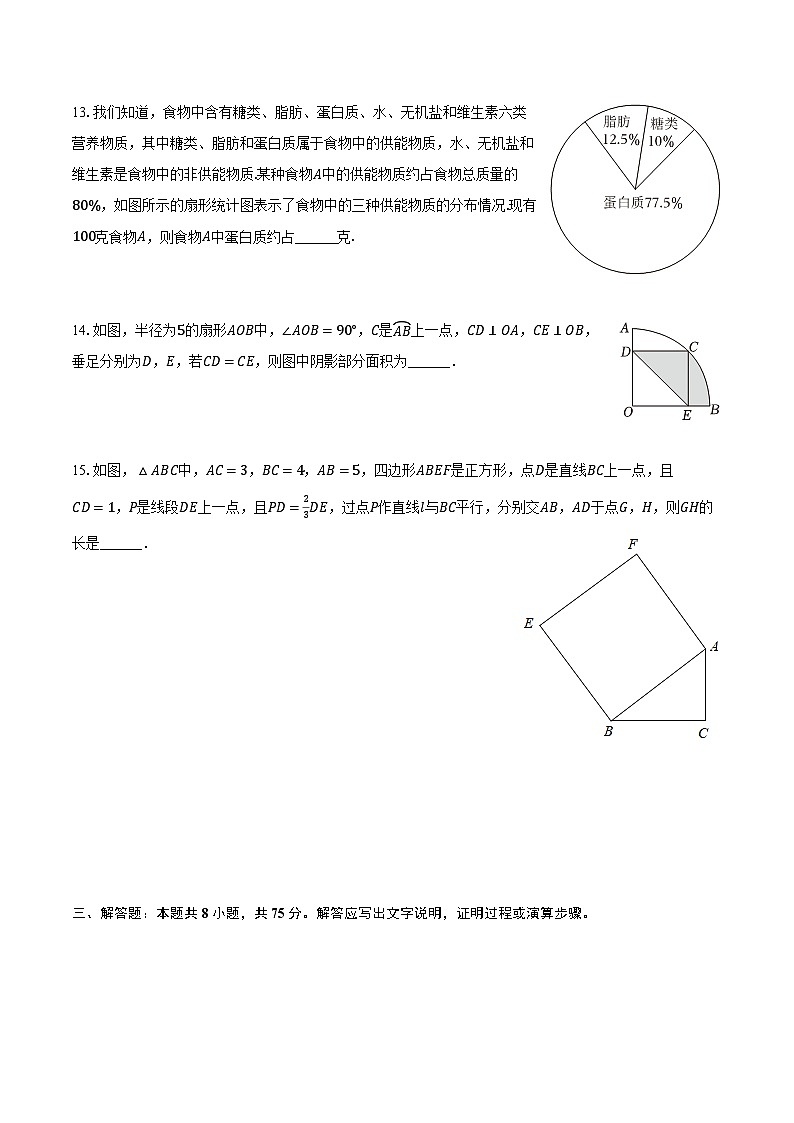 2024年河南省南阳市社旗县中考数学一模试卷（含解析）03