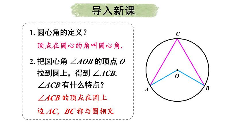 24.1.4 圆周角  课件 2024-2025学年人教版九年级数学上册第3页