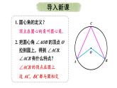 24.1.4 圆周角  课件 2024-2025学年人教版九年级数学上册