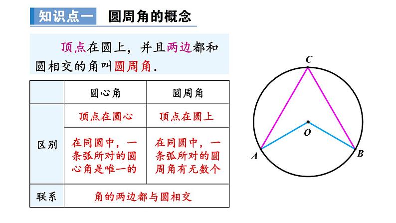 24.1.4 圆周角  课件 2024-2025学年人教版九年级数学上册第4页